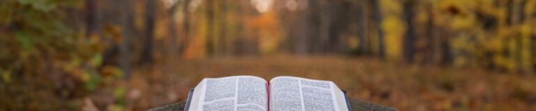 ahnsahnghong in the bible