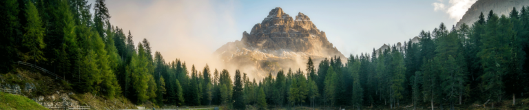 WMSCOG and the trinity