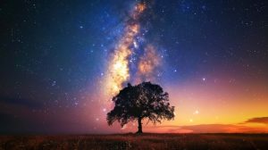 epic sunset stars milky way spirituality tranquility landscape
